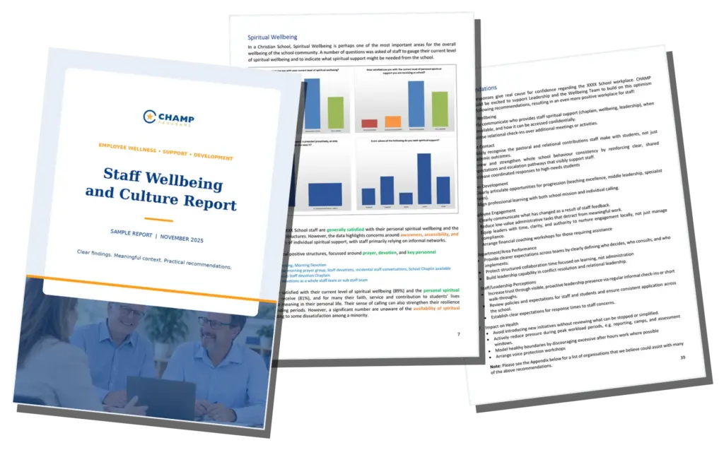 Sample CHAMP findings report